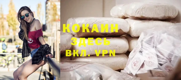 шишки Ладушкин