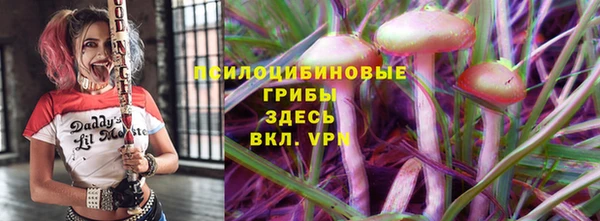 СК Верея