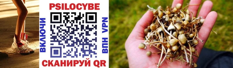 закладки  Новосокольники  Галлюциногенные грибы Magic Shrooms 